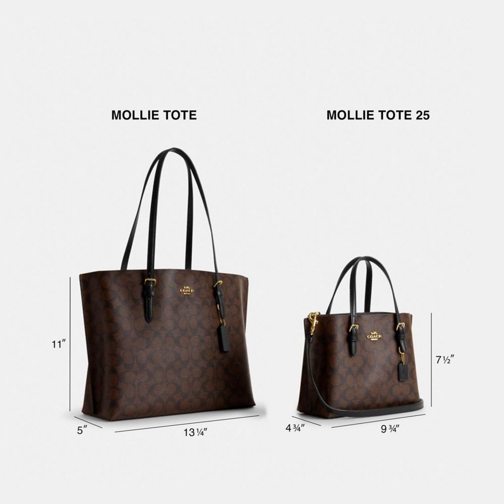 Coach Mollie Tote 25 In Signature Canvas【美国@173 图片价格品牌